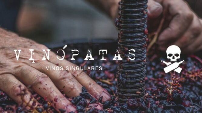 Vinópatas, el nuevo club de vinos de Sevilla