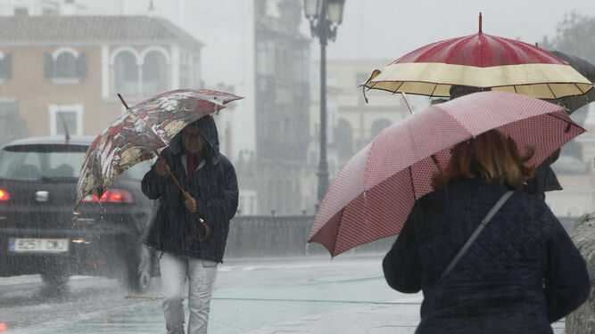 Varias personas intentan protegerse de la lluvia bajo sus paraguas
