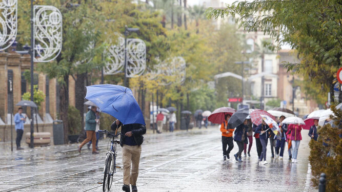 Varios viandantes se guarecen de la lluvia  y el viento con sus paraguas,  en la calle San Fernando.