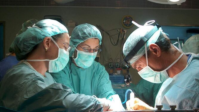 Médicos del Servicio Andaluz de Salud operan en un quirófano de trasplantes.