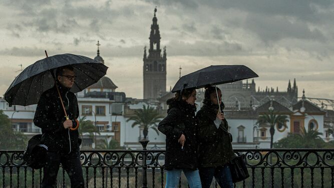 Diluvia en Sevilla: ¿nos cuentas cómo estás aguantando el chaparrón?