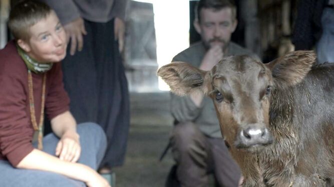 El documental 'La aldea de las vacas nadadoras', de Katarzyna Trzaska.
