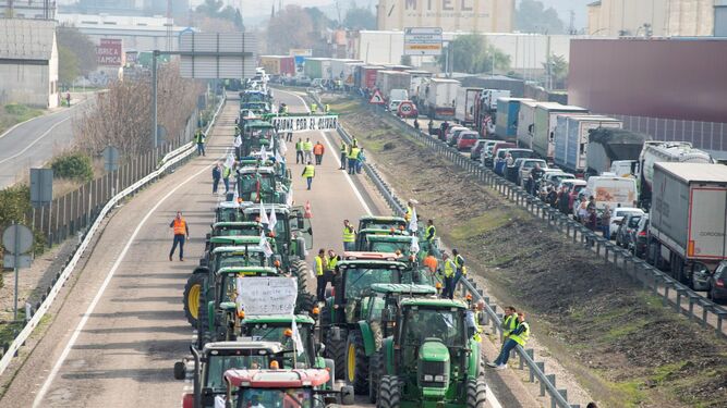 Tractorada en Jaén el pasado 30 de enero
