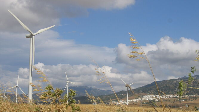 Varios aerogeneradores de energía eólica en el campo andaluz.