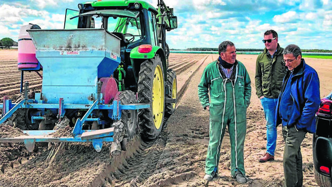 Boaz Oosthoek, director de Koppert en España, observa junto a Roberto Alonso Zamarrón, distribuidor en Valladolid, la aplicación de TRIANUM en un cultivo de puerro.