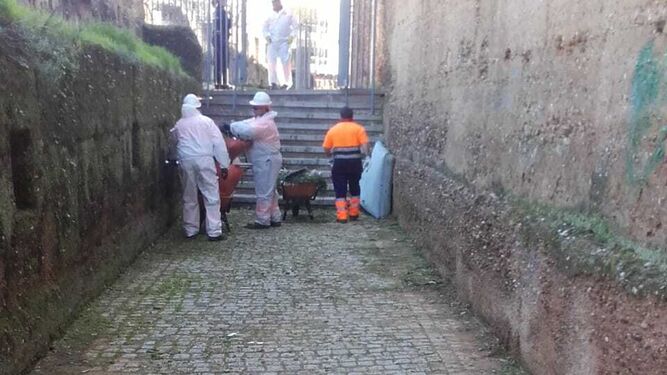 Los operarios e Lipasam durante las tareas de limpieza en la muralla de la Macarena.