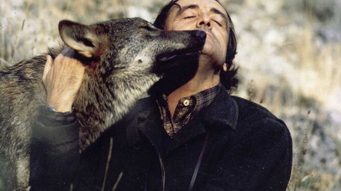 Félix Rodríguez de la Fuente con uno de sus lobos