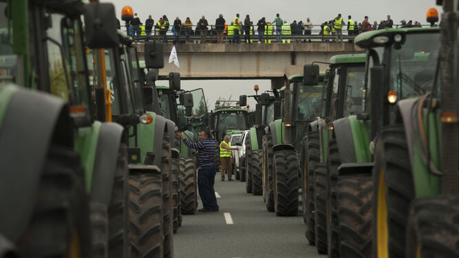 Las fotos de los tractores que han cortado las carreteras en Antequera