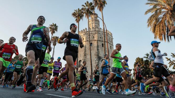 Algunos corredores durante el pasado Maratón de Sevilla a su paso por la Torre del Oro.