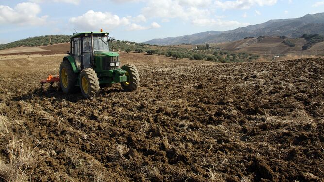 Un agricultor trabaja la tierra con su tractor