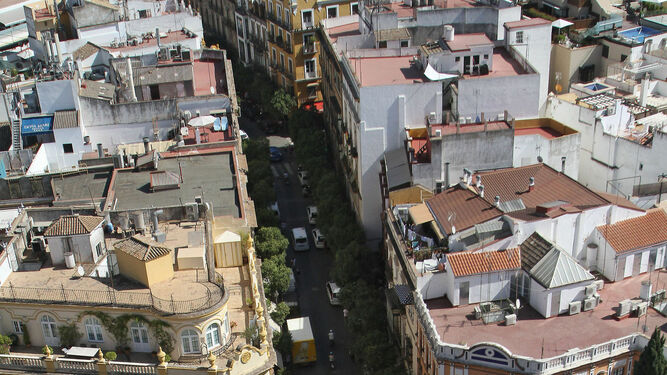 Vista de la calle Mateos Gago y la Plaza Virgen de los Reyes desde la Giralda.