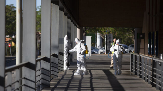 Coronavirus: Las imágenes de la pandemia en Sevilla