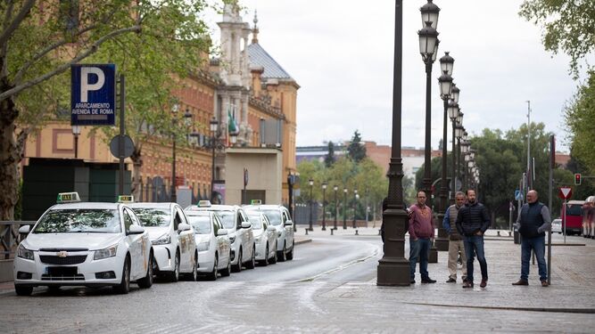Taxistas esperando en la parada de la Puerta de Jerez, este martes.