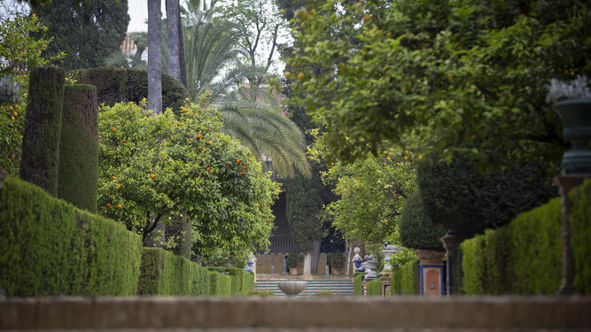 Coronavirus: Un paseo por los Reales Alc&aacute;zares de Sevilla