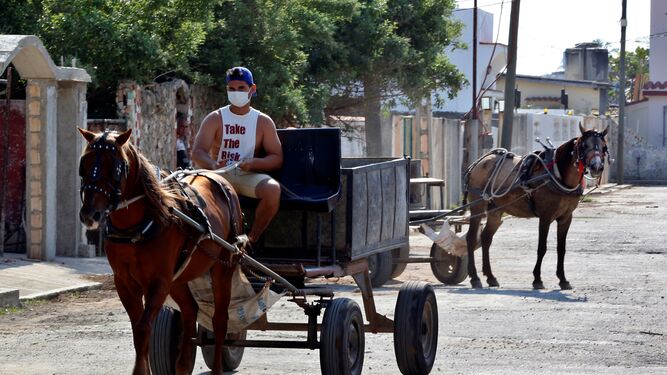 Un hombre con mascarilla lleva las riendas de su caballo en Cuba