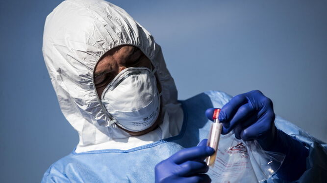 Un trabajador sanitario manipula un test de detección del coronavirs.