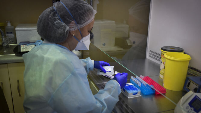 Una sanitaria trabaja con una muestra en el laboratorio del Virgen del Rocío, centro de referencia andaluz.