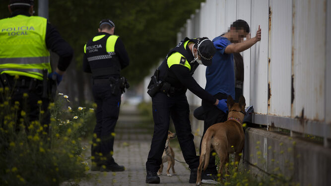 La Policía Local registra a un joven que paseaba con varios perros.
