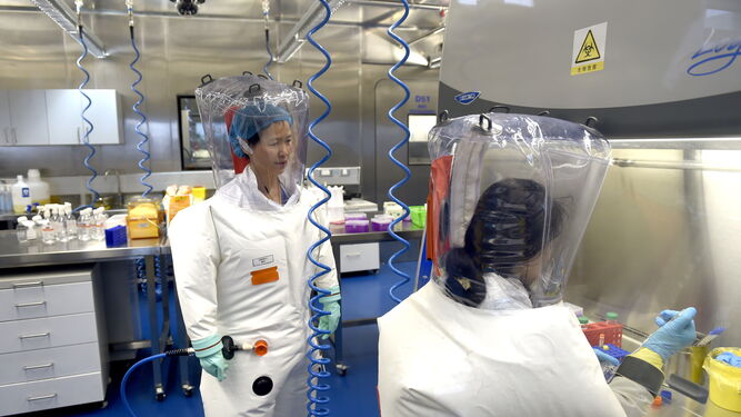 Dos investigadoras trabajan en el Laboratorio de Virología de Wuhan.