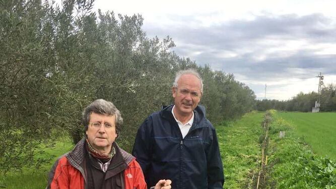 Juan Hurtado, productor de aceite, en su olivar junto al histórico líder jornalero y ecologista Paco Casero.