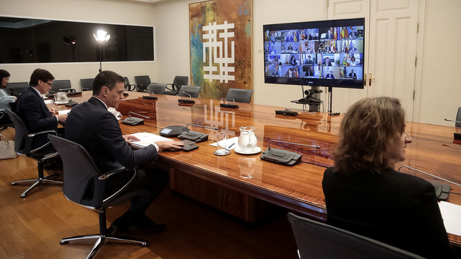 Pedro Sánchez, durante la reunión por videoconferencia con los presidentes autonómicos.