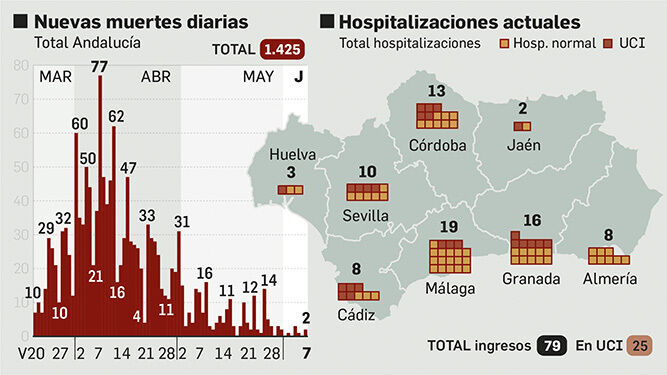 Balance de la pandemia en Andalucía