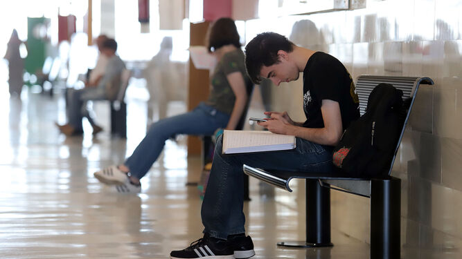 Un alumno repasa sus apuntes momentos antes de iniciar la prueba de Selectividad