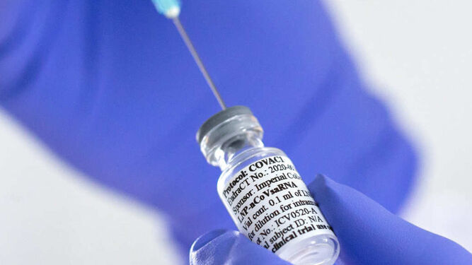 Una vacuna en formato inyectable