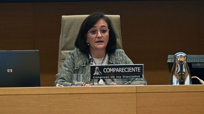 La presidenta de la Autoridad Independiente de Responsabilidad Fiscal (Airef), Cristina  Herrero.