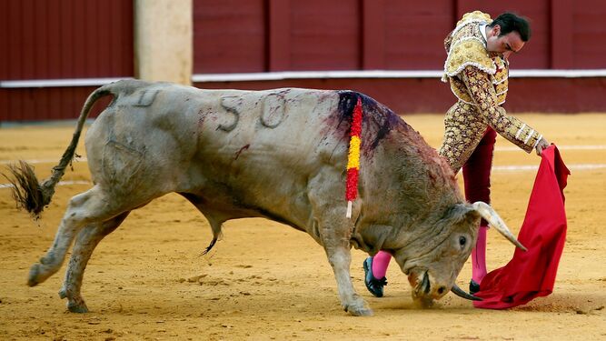 Enrique Ponce  en la plaza de toros de La Malagueta el año pasado.