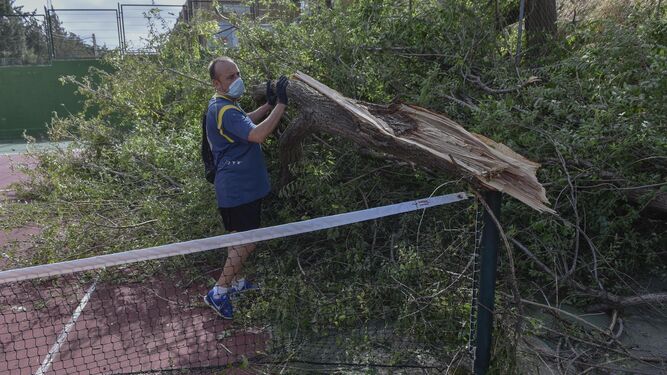 Antonio, operario municipal, retira un árbol de una pista de tenis.