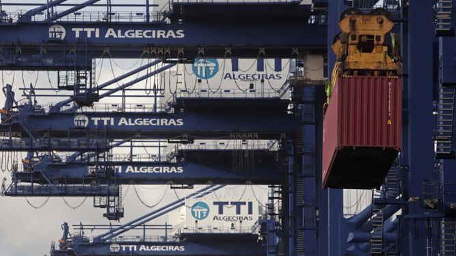 Carga de un contenedor en el puerto de Algeciras