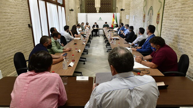 Un momento de la reunión entre la Junta y los alcaldes afectados por el virus del Nilo.