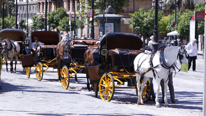 La parada de coches de caballo del Archivo de Indias de Sevilla