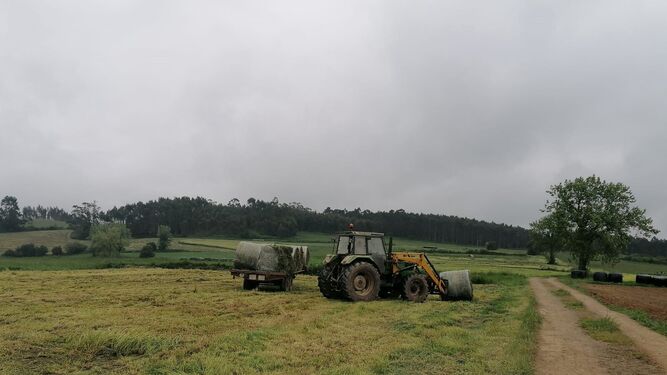 Tractor realizando tareas en los cultivos.