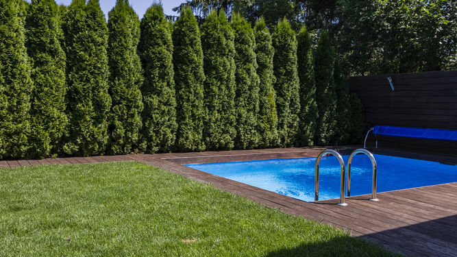 Casas con jardín y piscina son las nuevas tendencias en la era post covid-19.