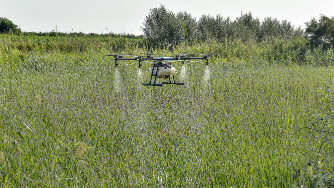 Así trabajan los drones que fumigan los mosquitos