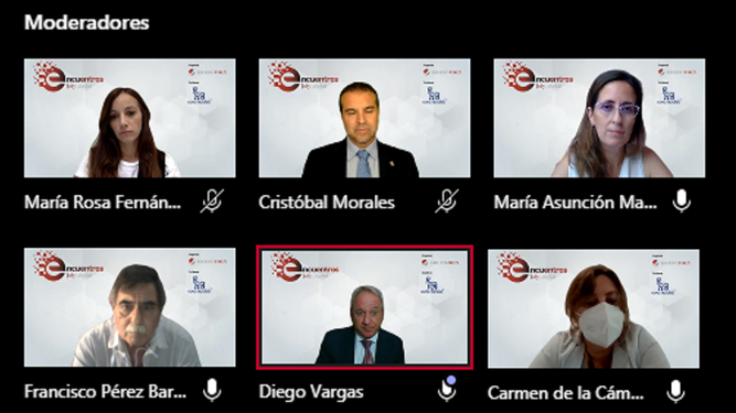 Captura de los participantes del coloquio digital celebrado el pasado día 29 de septiembre.