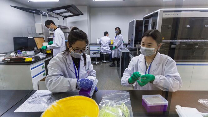 Técnicos trabajan en un laboratorio en China.
