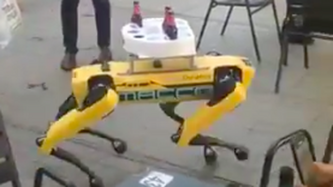 El 'perro robot' a para cerveza