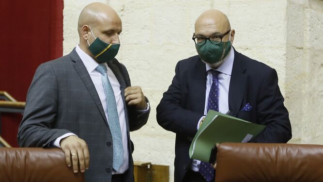 Rodrigo Alonso y Alejandro Hernández, en el Parlamento.