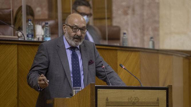 El portavoz de Vox , Alejandro  Hernández, durante una intervención en el Parlamento andaluz