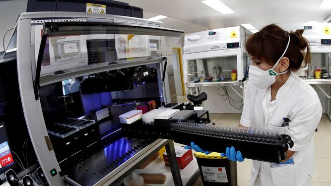 Preparación de pruebas de microbiología en un laboratorio hospitalario.