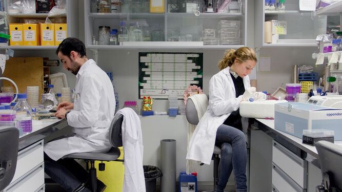 Dos investigadores en un laboratorio de la Universidad de Sevilla