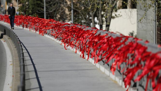 Lazos rojos en una calle en el Día Internacional del SIDA.