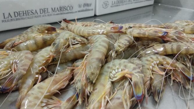 Los productos de mar de La Dehesa del Marisco son de calidad garantizada y muy frescos.