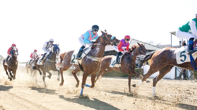 Una imagen de las carreras de caballos en el hipódromo de Pineda.