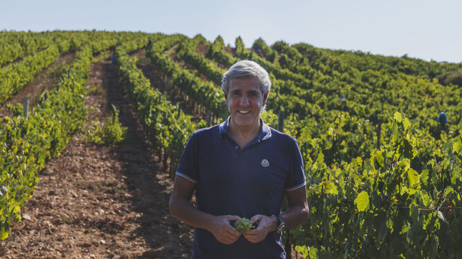 El bodeguero José Moro, en uno de sus viñedos.