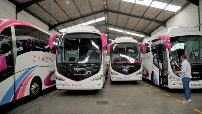 Autobuses paralizados, sin actividad, en la empresa Autocares Zambruno, en Dos Hermanas.
