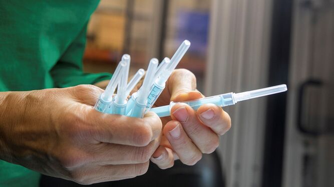 Un sanitario inspecciona unas jeringuillas para administrar la vacuna contra el coronavirus